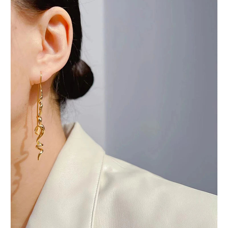 Exquisite Hanging Earrings