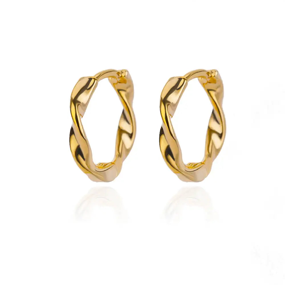 Elegant Small Hoop Earrings