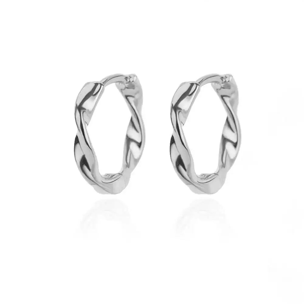 Elegant Small Hoop Earrings